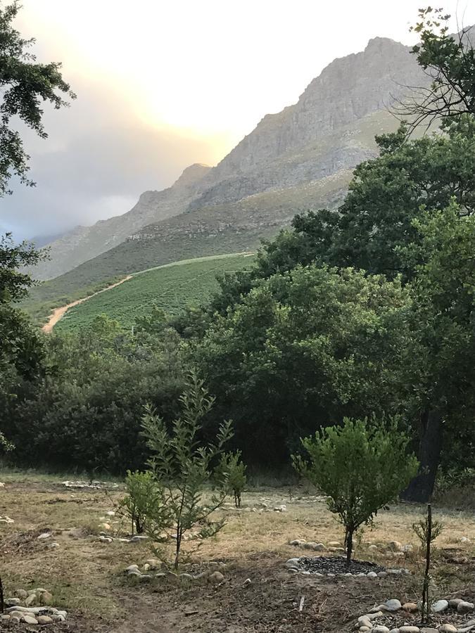 At Home In Mostertsdrift ستيلينبوش المظهر الخارجي الصورة